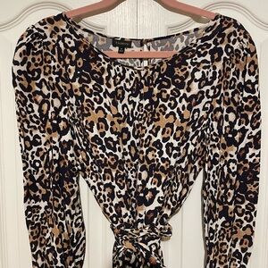 Talbots Long Sleeve Leopard Print Dress